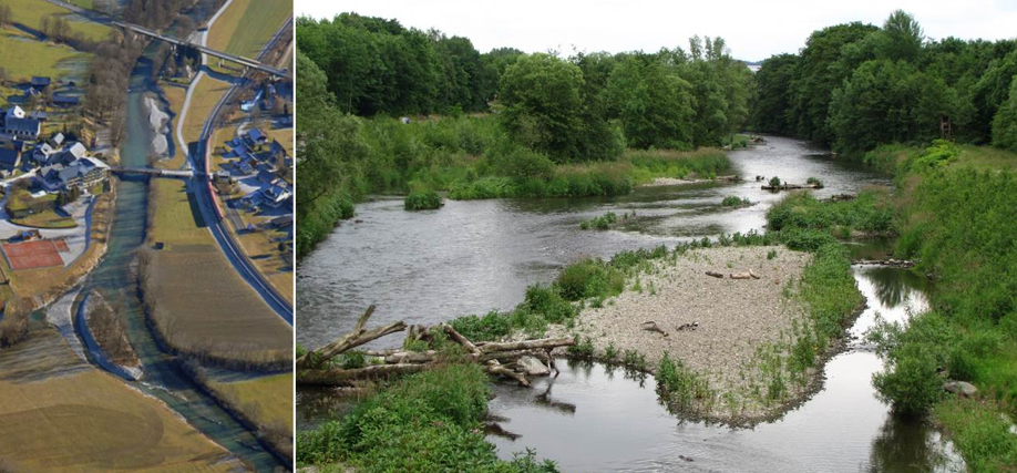 Reviving Life: The Necessity and Beauty of River Restoration