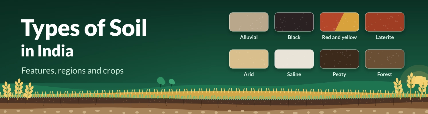 Types of soil in India: features, regions and crops