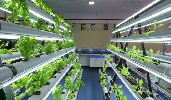 Hydroponics Lab