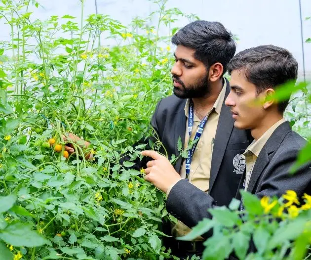 MSc Horticulture in Fruit Science Course