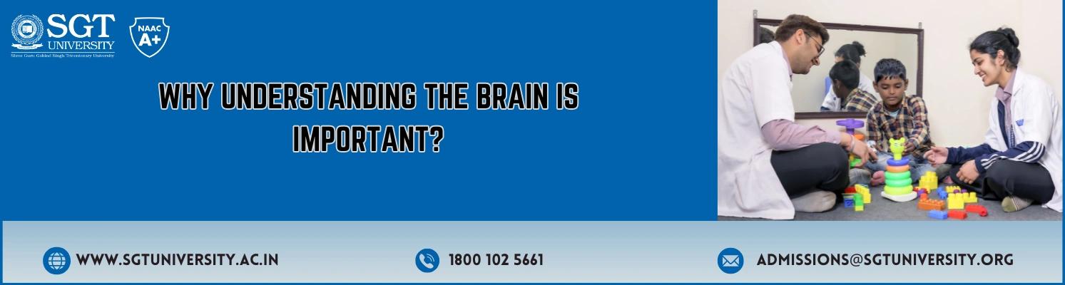 Why Understanding the Brain is Important?