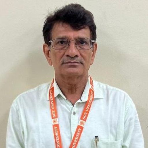 Prof. (Dr) Vishwanand Yadav