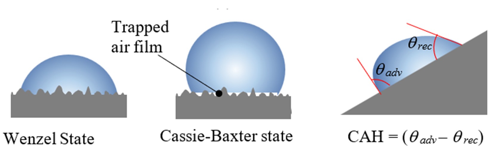 Advanced Forensic Investigation: MSc Forensic Science
                                    Career Guide