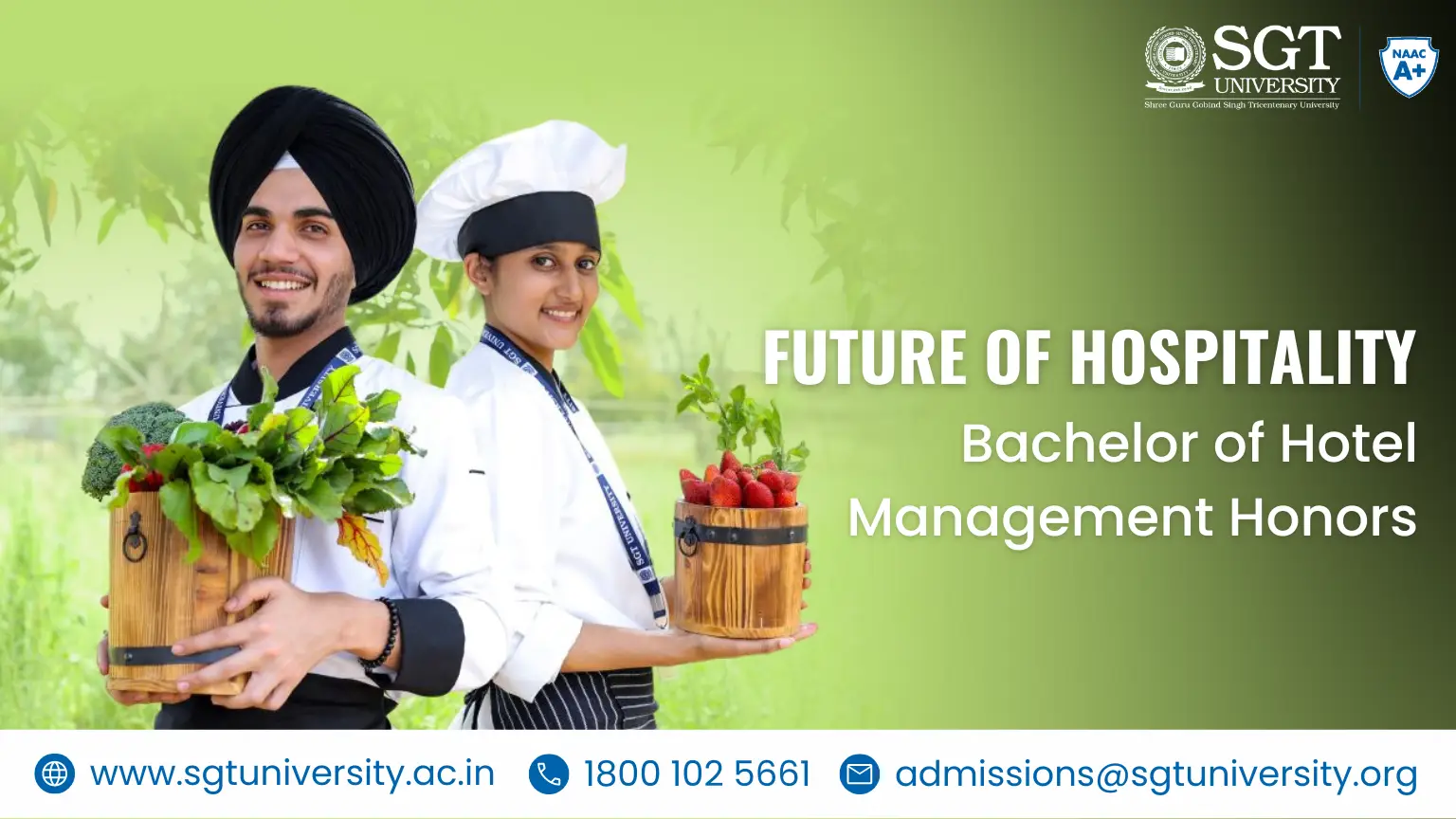 The Future of Hospitality: Bachelor of Hotel Management Honors in 2024