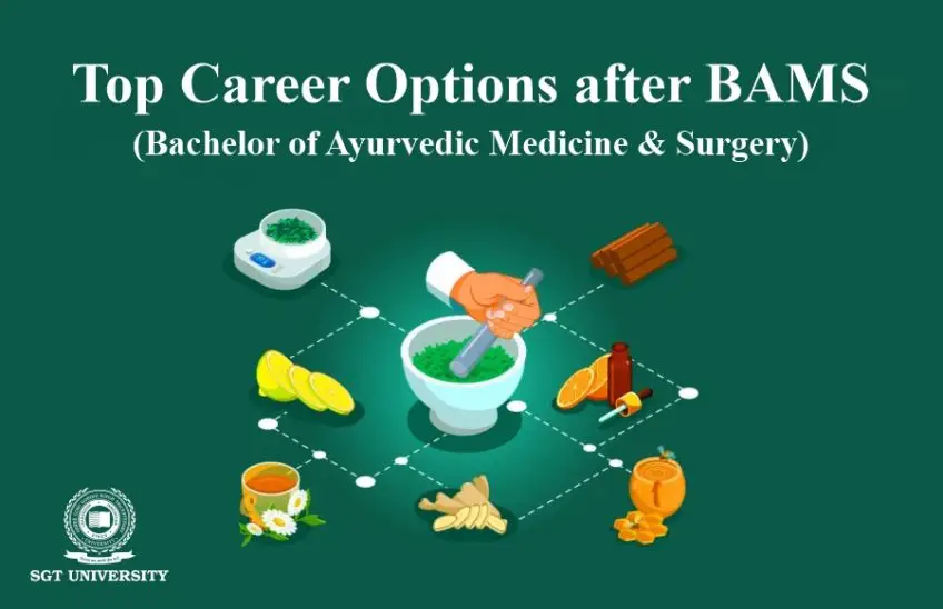 Top Career Options after BAMS