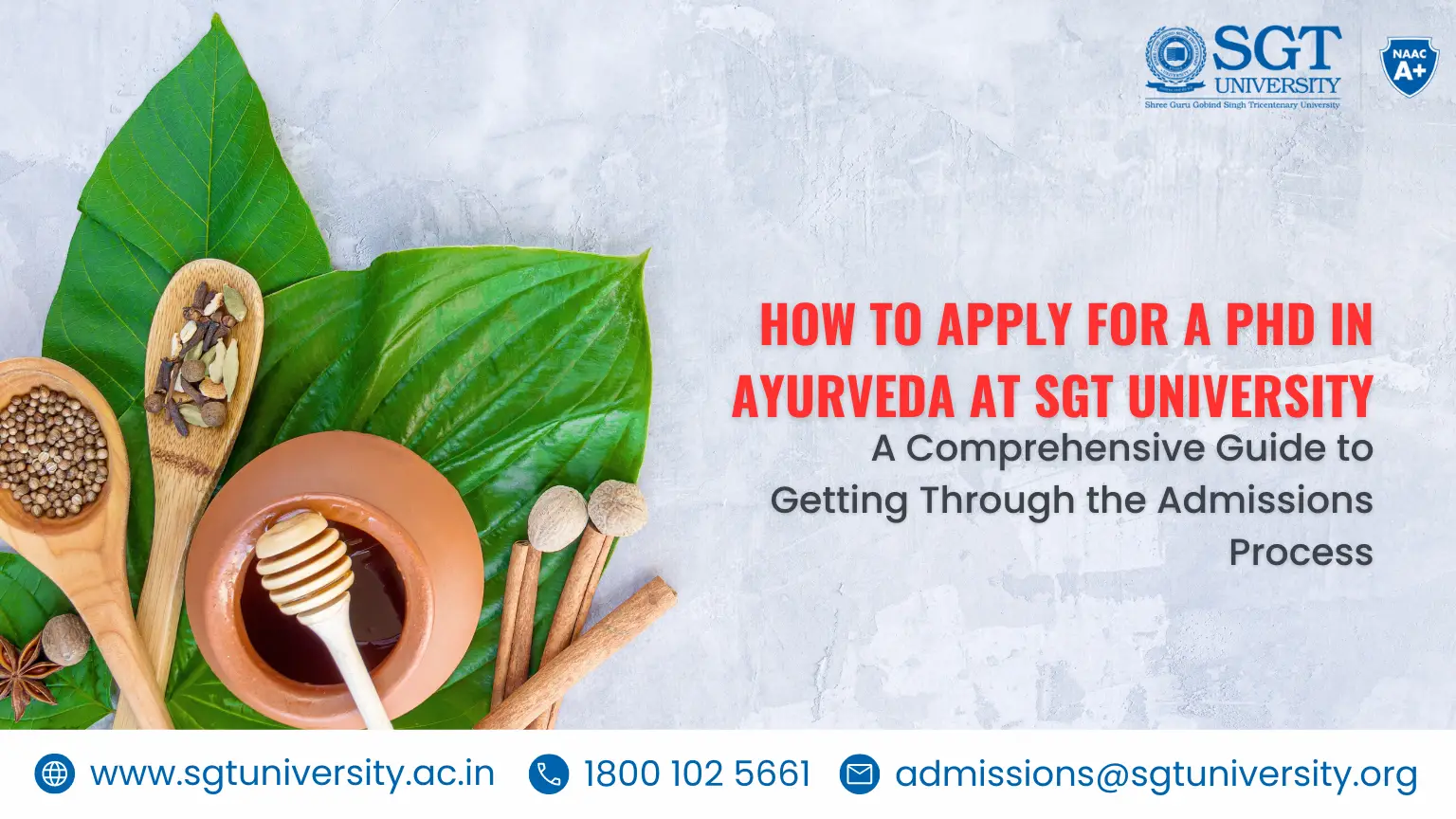 How to Apply for a PhD in Ayurveda at SGT University