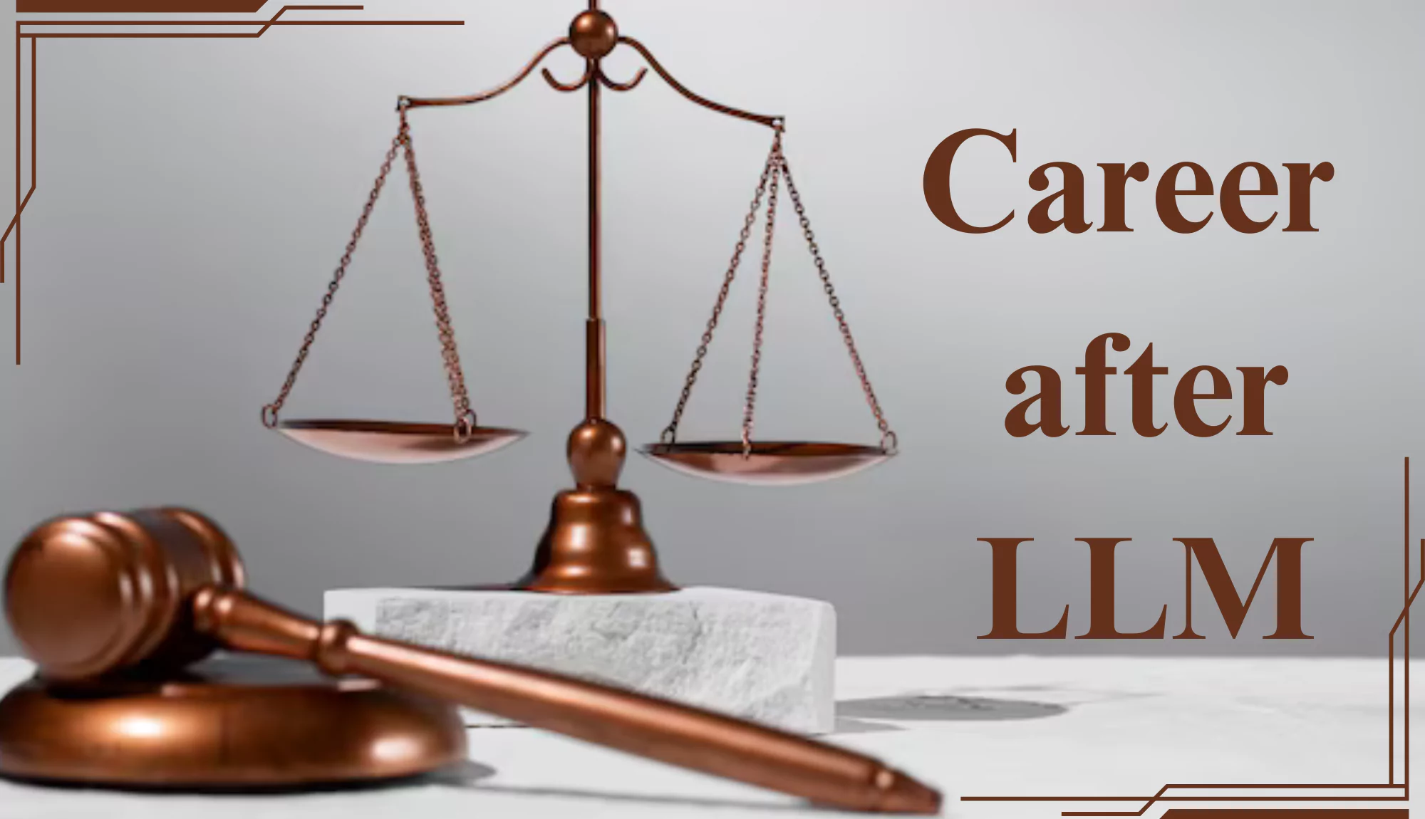 Why should I choose llm as career option?