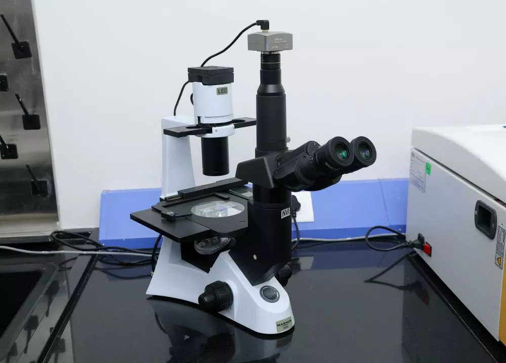 Inverted Microscopes