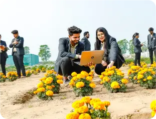 MSc. (Ag.) Horticulture in Floriculture and Landscaping