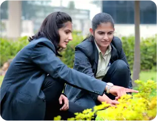 Doctor of Philosophy (Agriculture Science) (Horticulture)