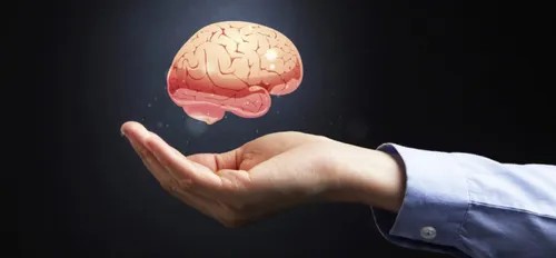 Why Understanding the Brain is Important?