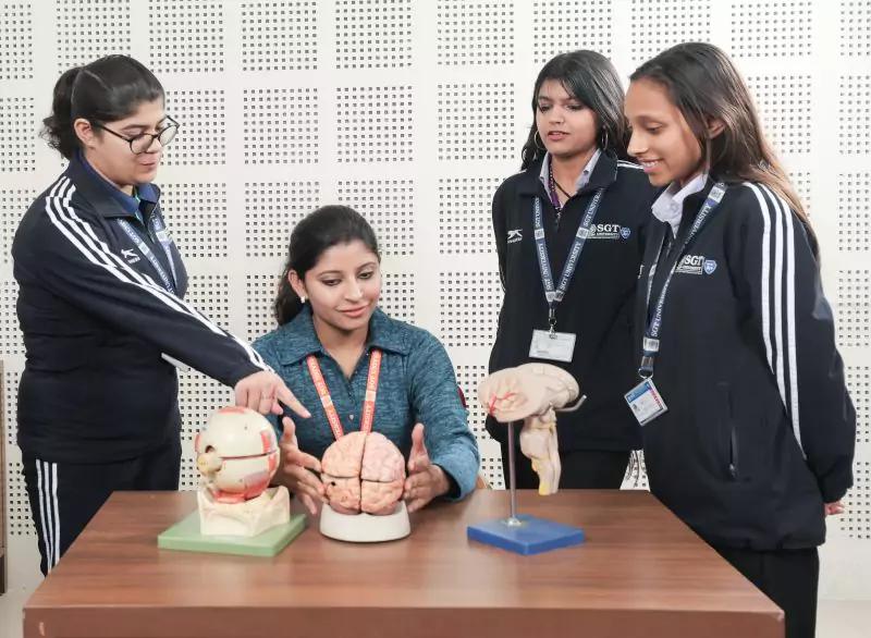 Bachelor of Science (Hons. with Research) Cognitive Science