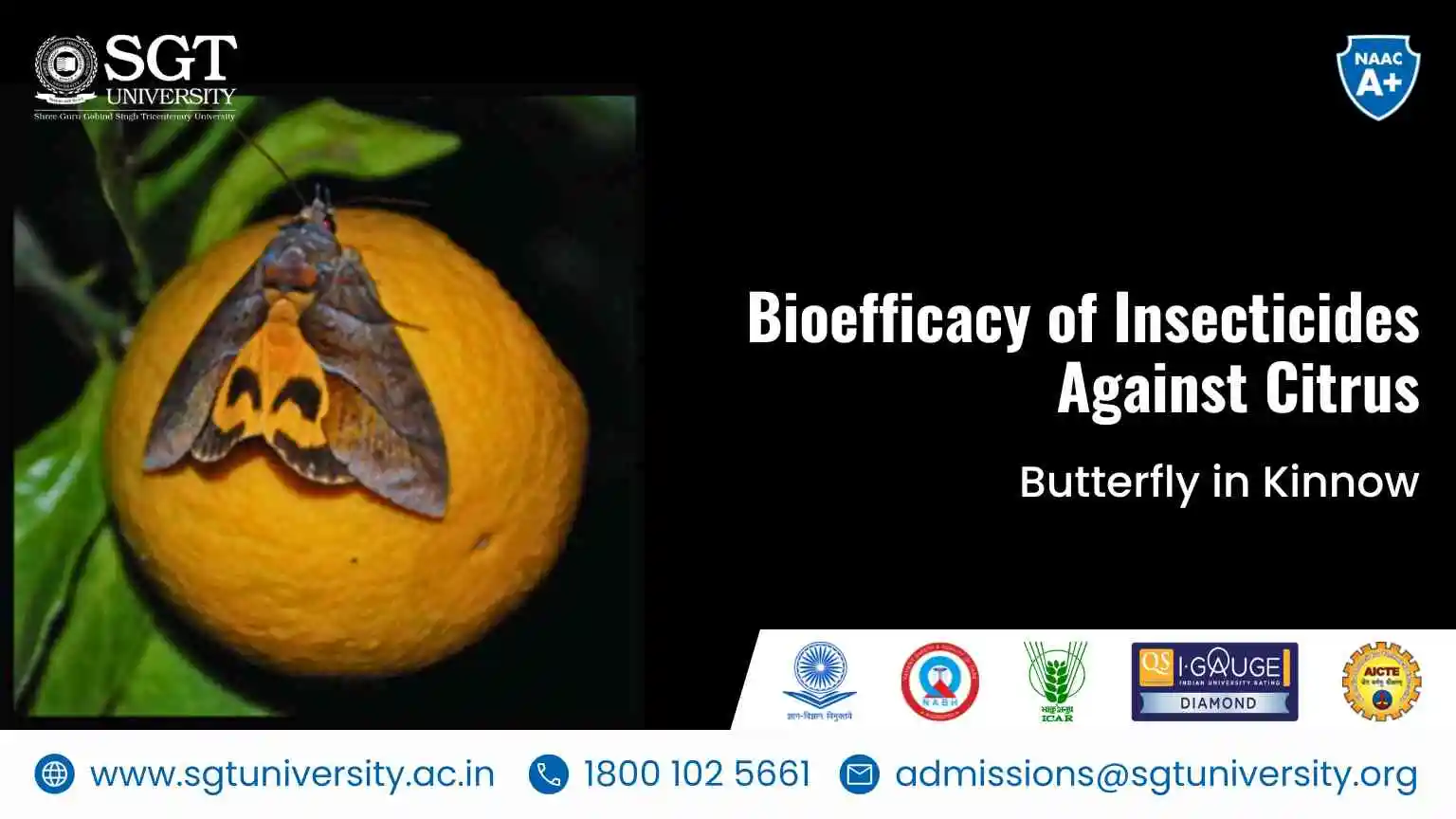 Bioefficacy of Insecticides Against Citrus Butterfly in Kinnow: Effective Pest Control in Agriculture
