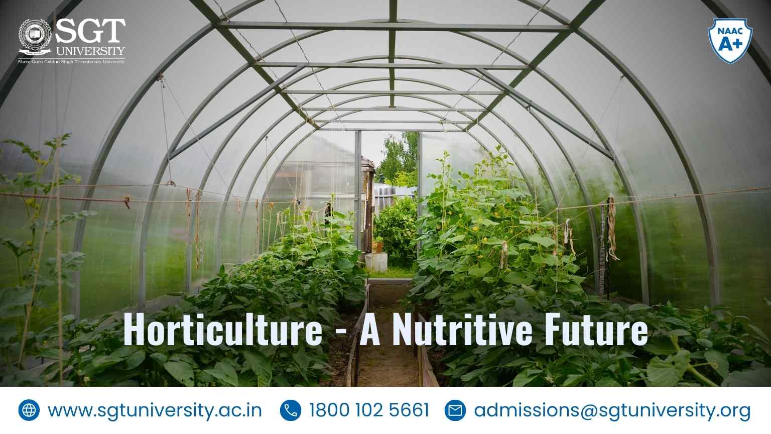 Horticulture: Nurturing a Nutritive Future