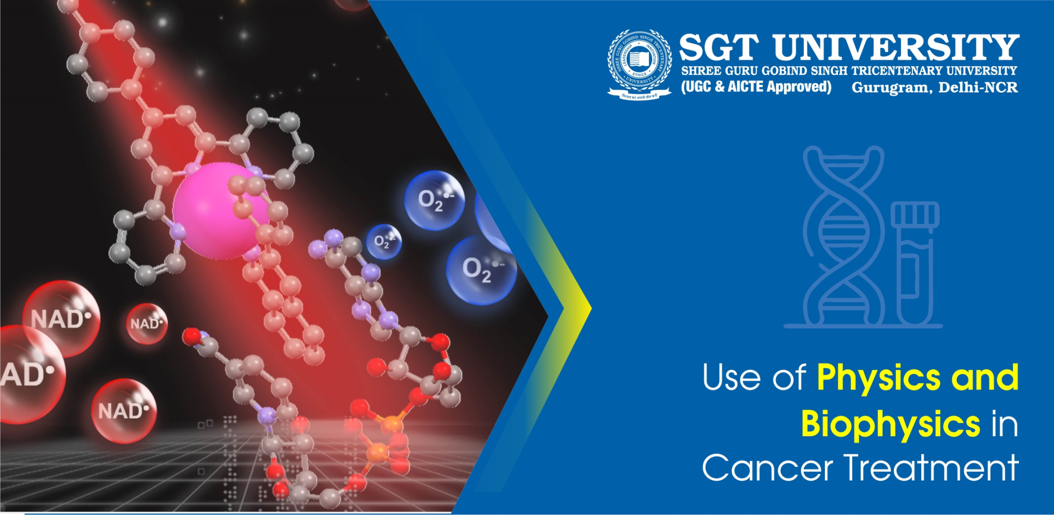 Use of Physics and Biophysics in Cancer Treatment