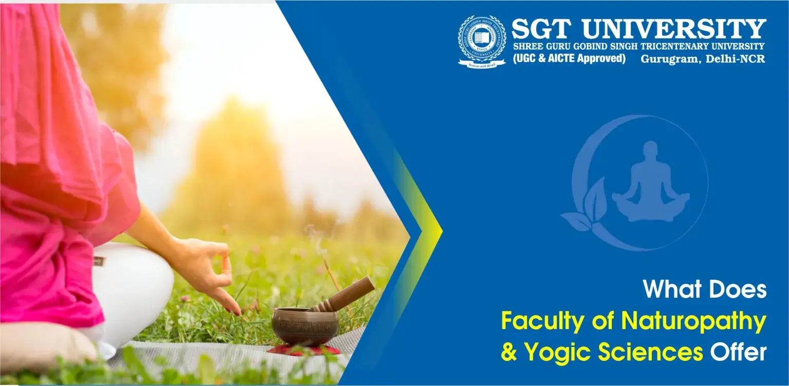 What Does School of Naturopathy & Yogic Sciences Offer