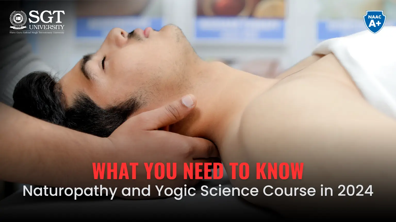 Naturopathy and Yogic Science Course in 2024: What You Need to Know