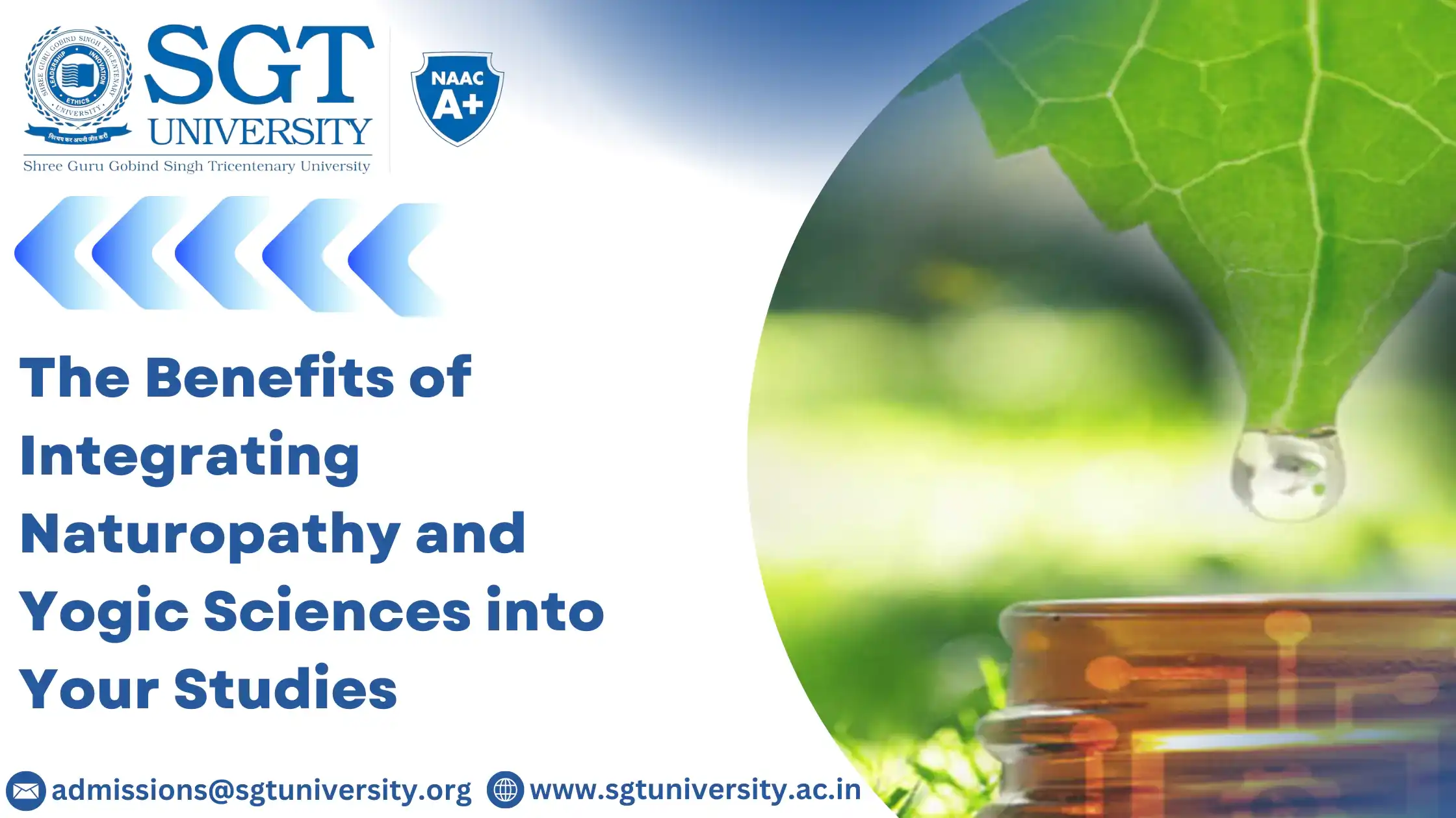 The Benefits of Integrating Naturopathy and Yogic Sciences into Your Studies