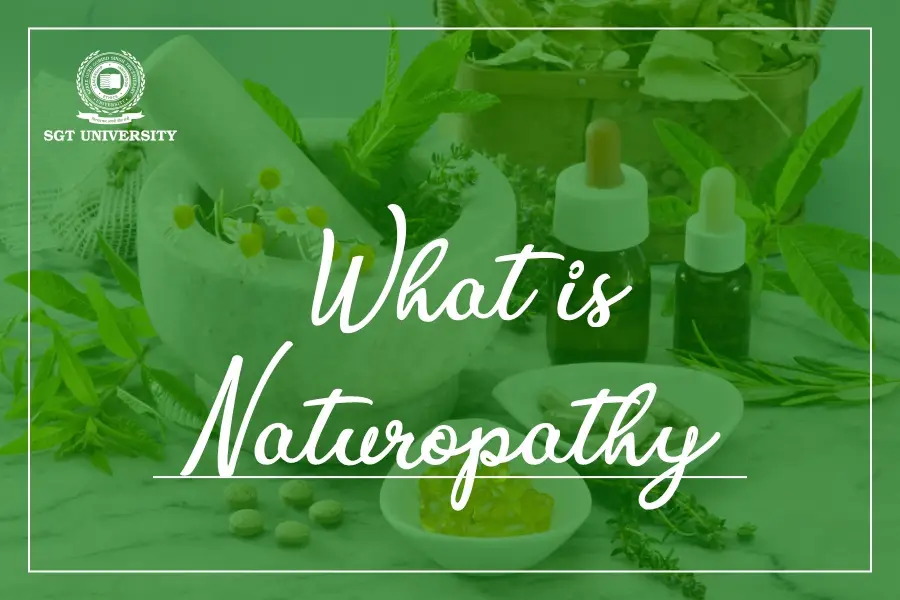 What is Naturopathy?