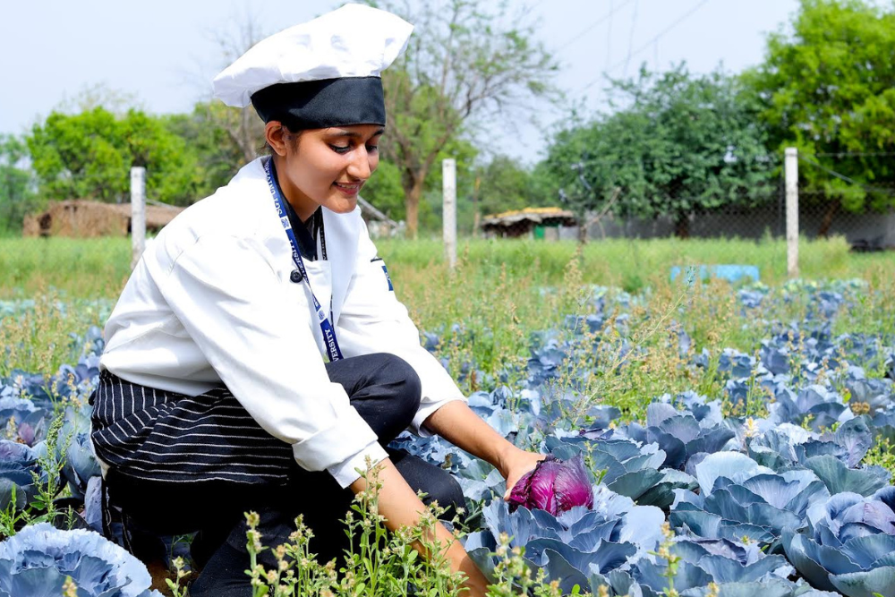 Advance Training Kitchen